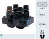 FAE 80213 Ignition Coil